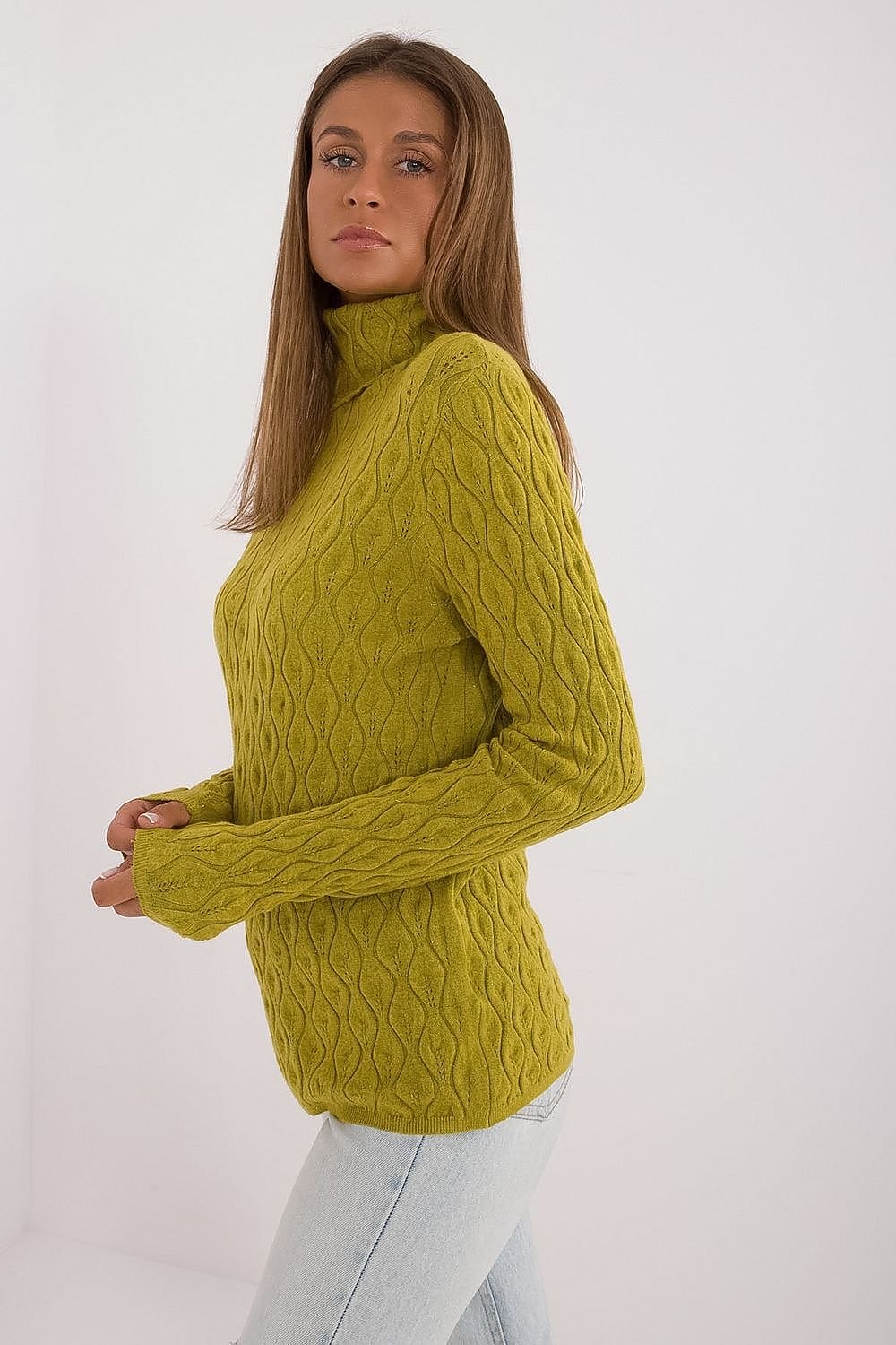  Turtleneck model 208279 AT 